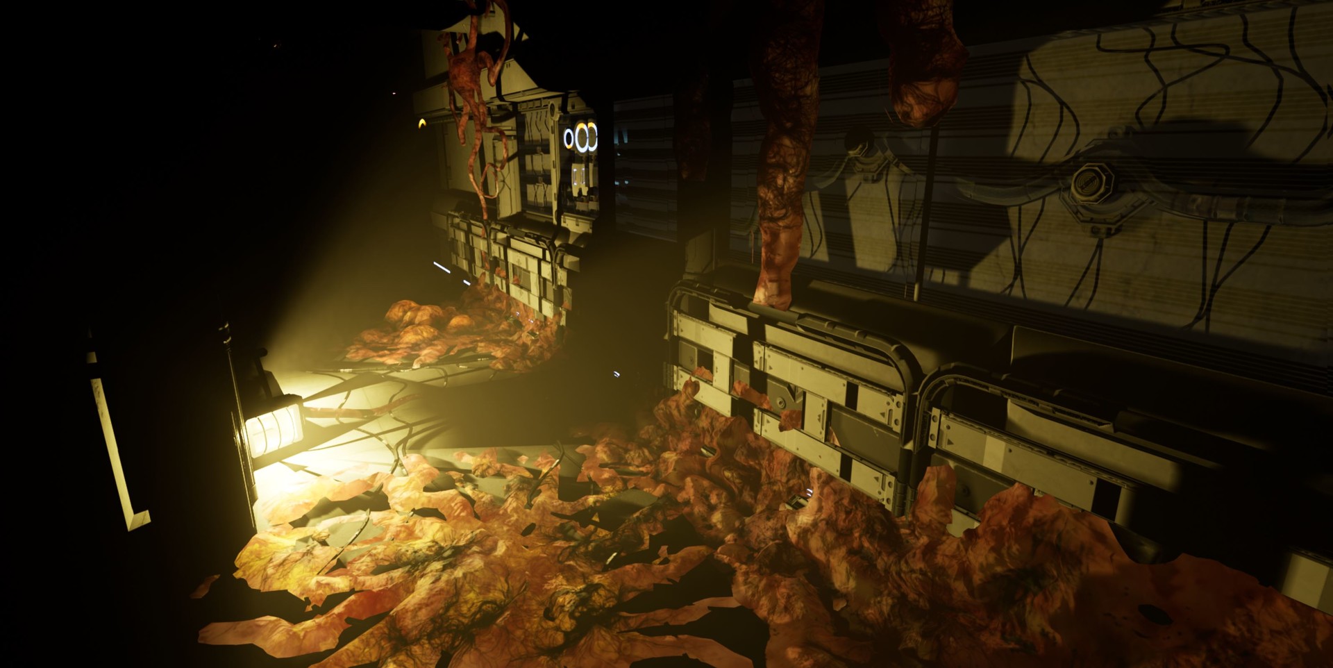 SCP: Blackout Demo #2