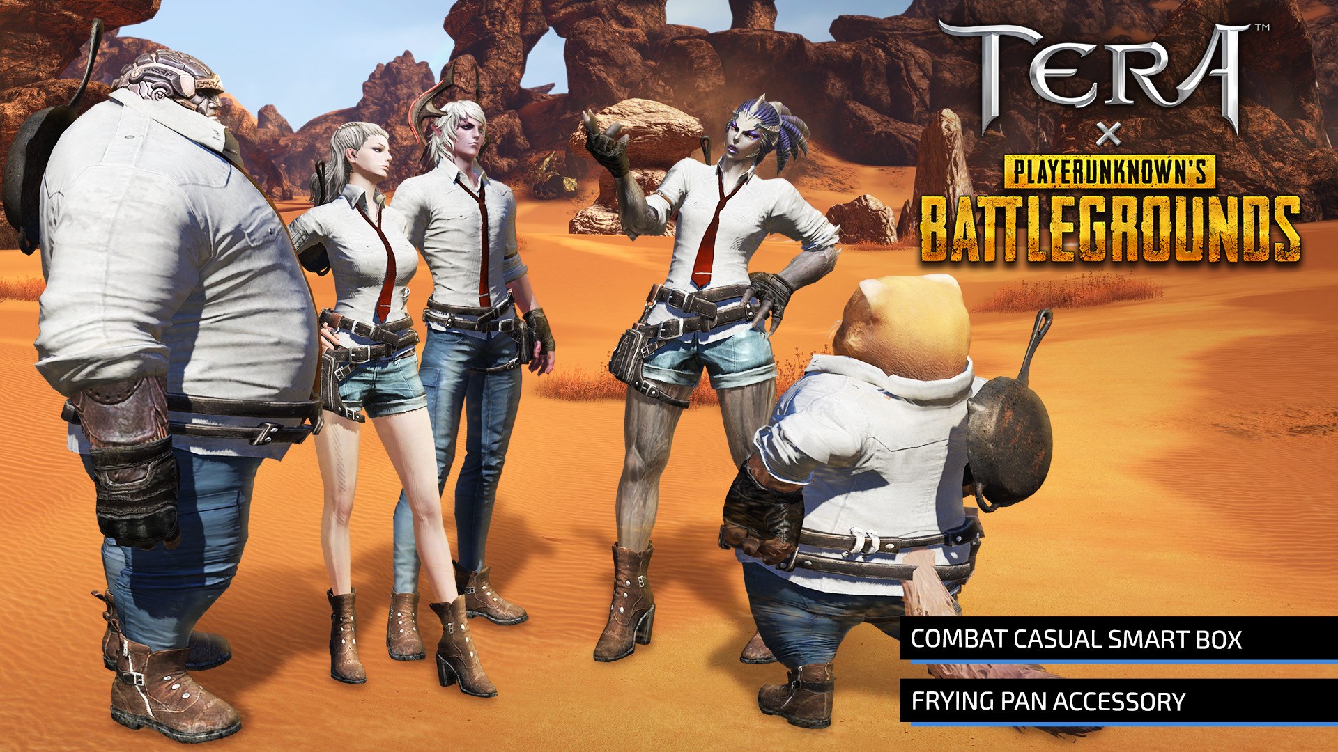 TERA: PUBG Combat Casual Pack #4