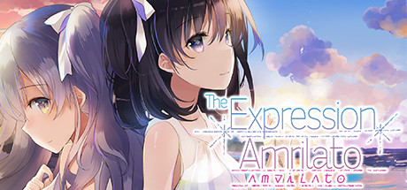 The Expression Amrilato Cover Image