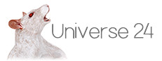 Universe 24 게임 이미지