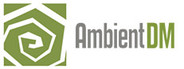 Ambient DM