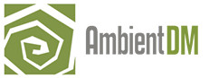 Ambient DM 게임 이미지