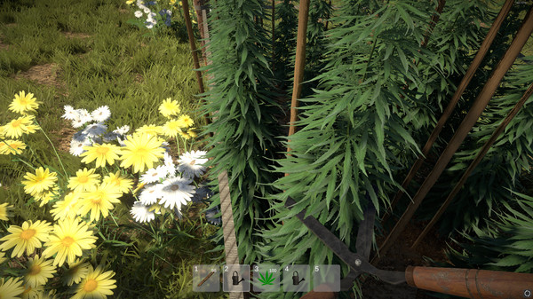 скриншот Weed Farmer Simulator 2