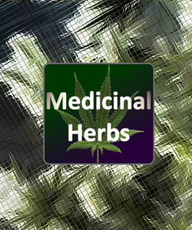 Medicinal Herbs - Cannabis Grow Simulator