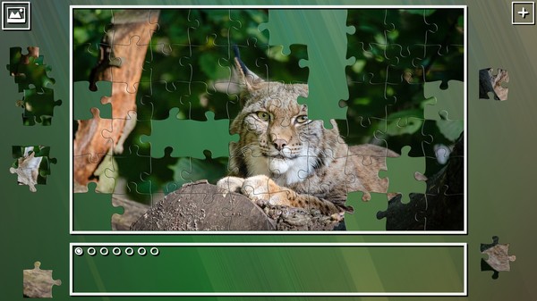 Super Jigsaw Puzzle: Generations - Big Cats Puzzles