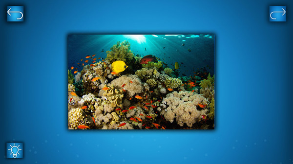 PUZZLE: OCEAN for steam PUZZLE: OCEAN for steam