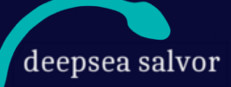 Deepsea Salvorr 게임 이미지