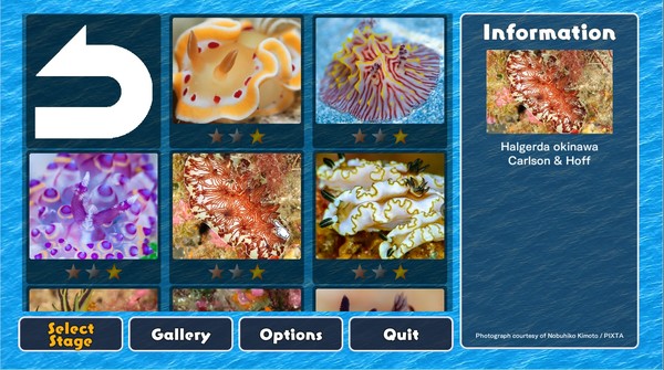скриншот Jigsaw Masterpieces : Sea Slugs - Gems of the Sea - 0