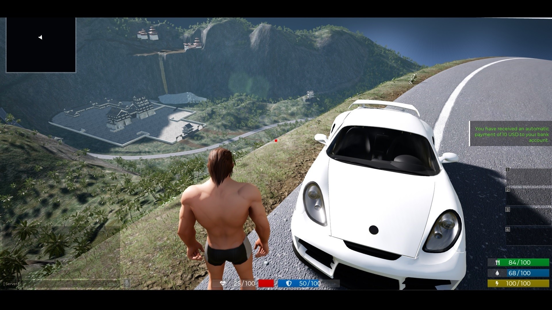 Battle Life Online #7