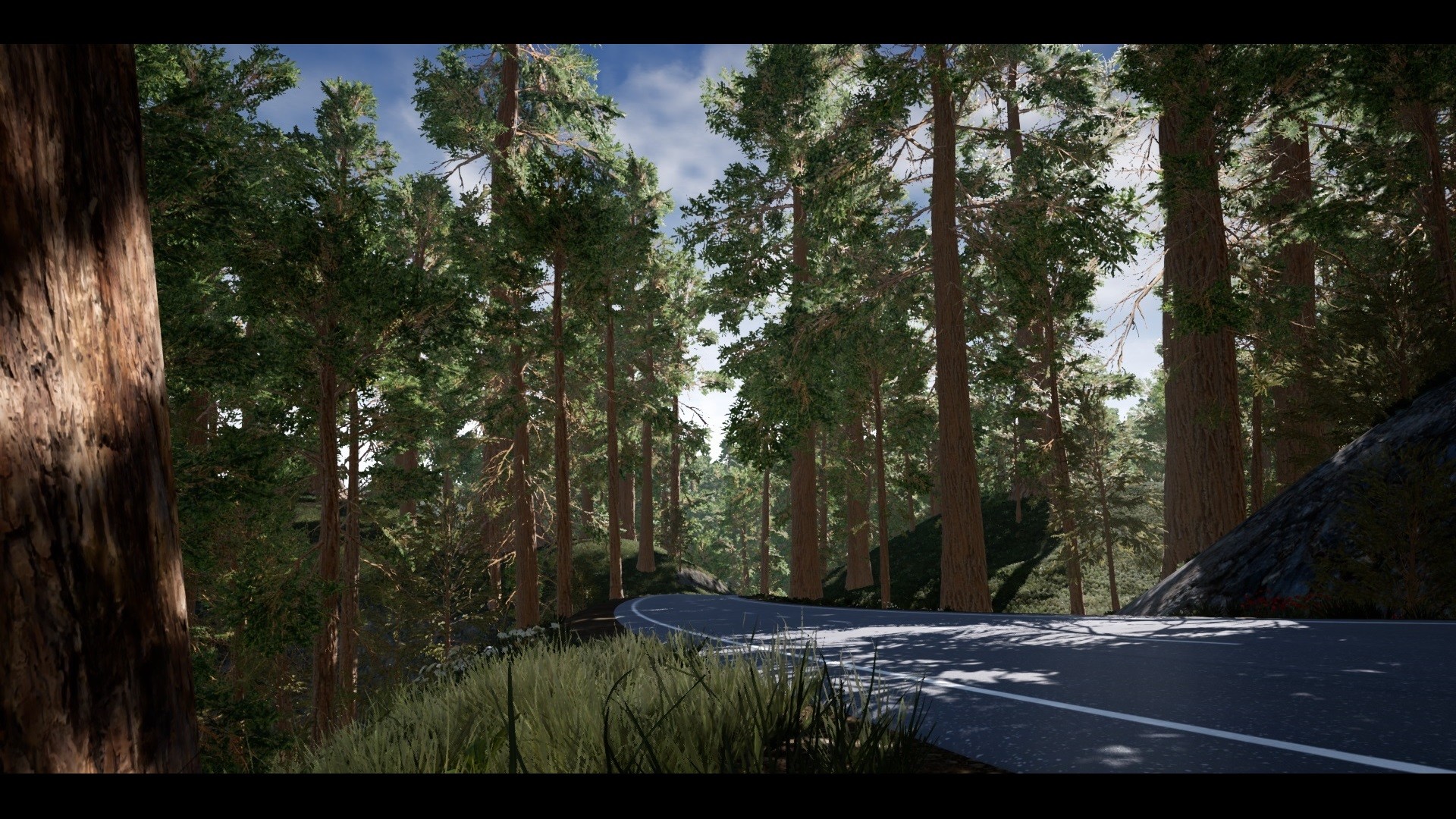 Battle Life Online #13