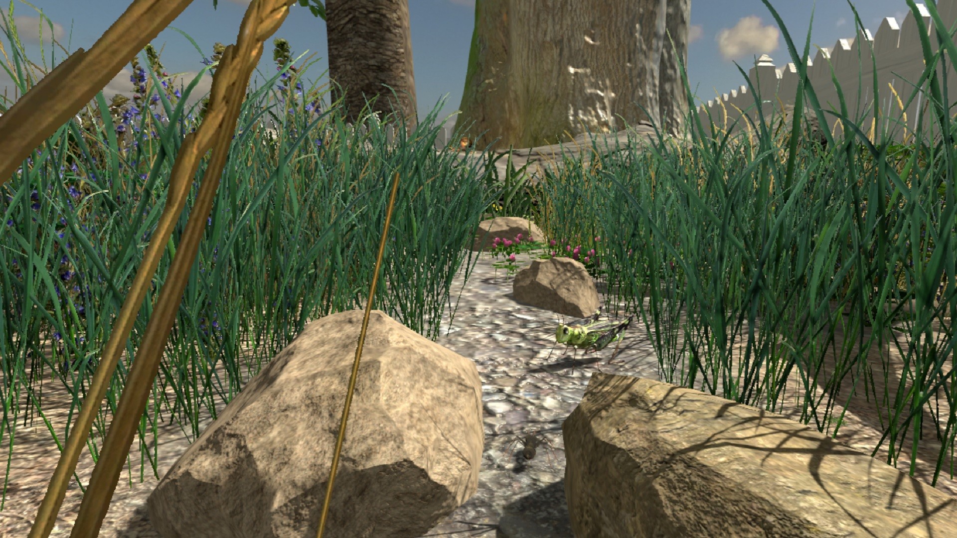 RollerCoaster VR Universe #20