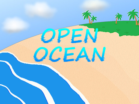 скриншот Open Ocean 0