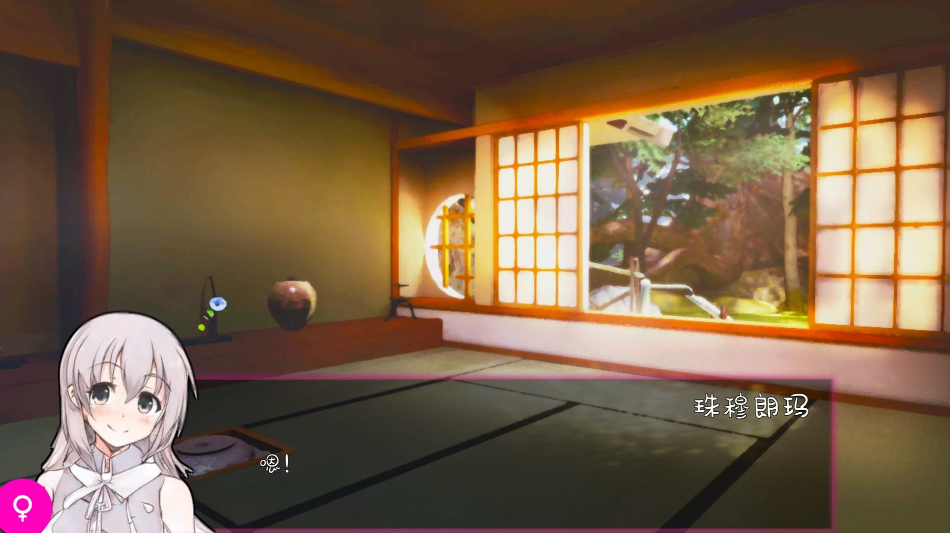 Corner Cathouse / 街角的猫咪花园 #9