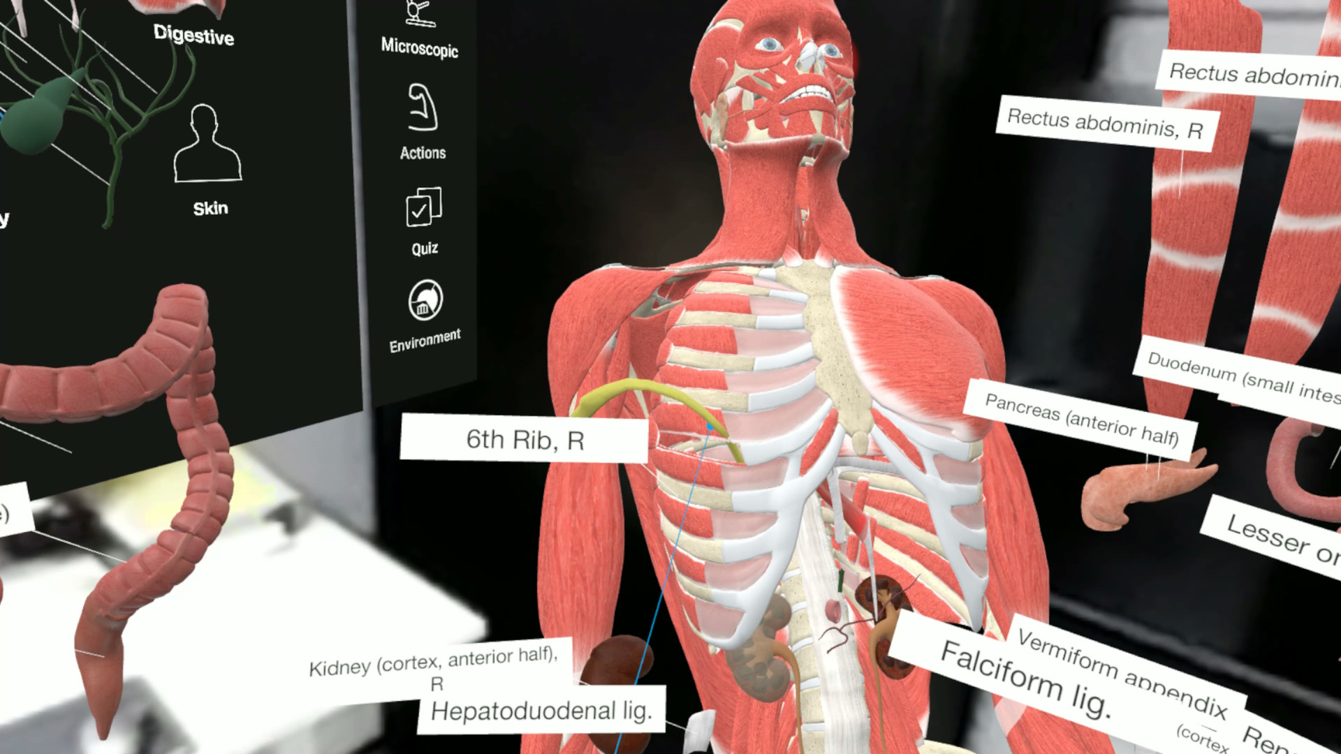 3D Organon VR Anatomy on Steam