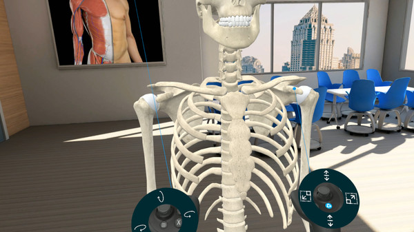 скриншот 3D Organon VR Anatomy | Enterprise Edition 2