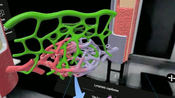3D Organon VR Anatomy | Enterprise Edition