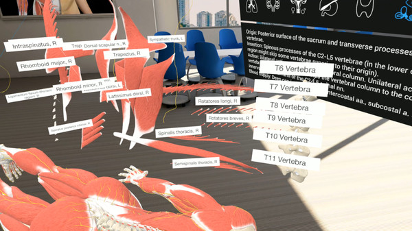 3D Organon VR Anatomy