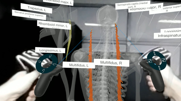 скриншот 3D Organon VR Anatomy | Enterprise Edition 3