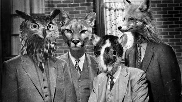 《公鸡神探（Chicken Police）》插图21