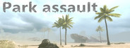 Park assault