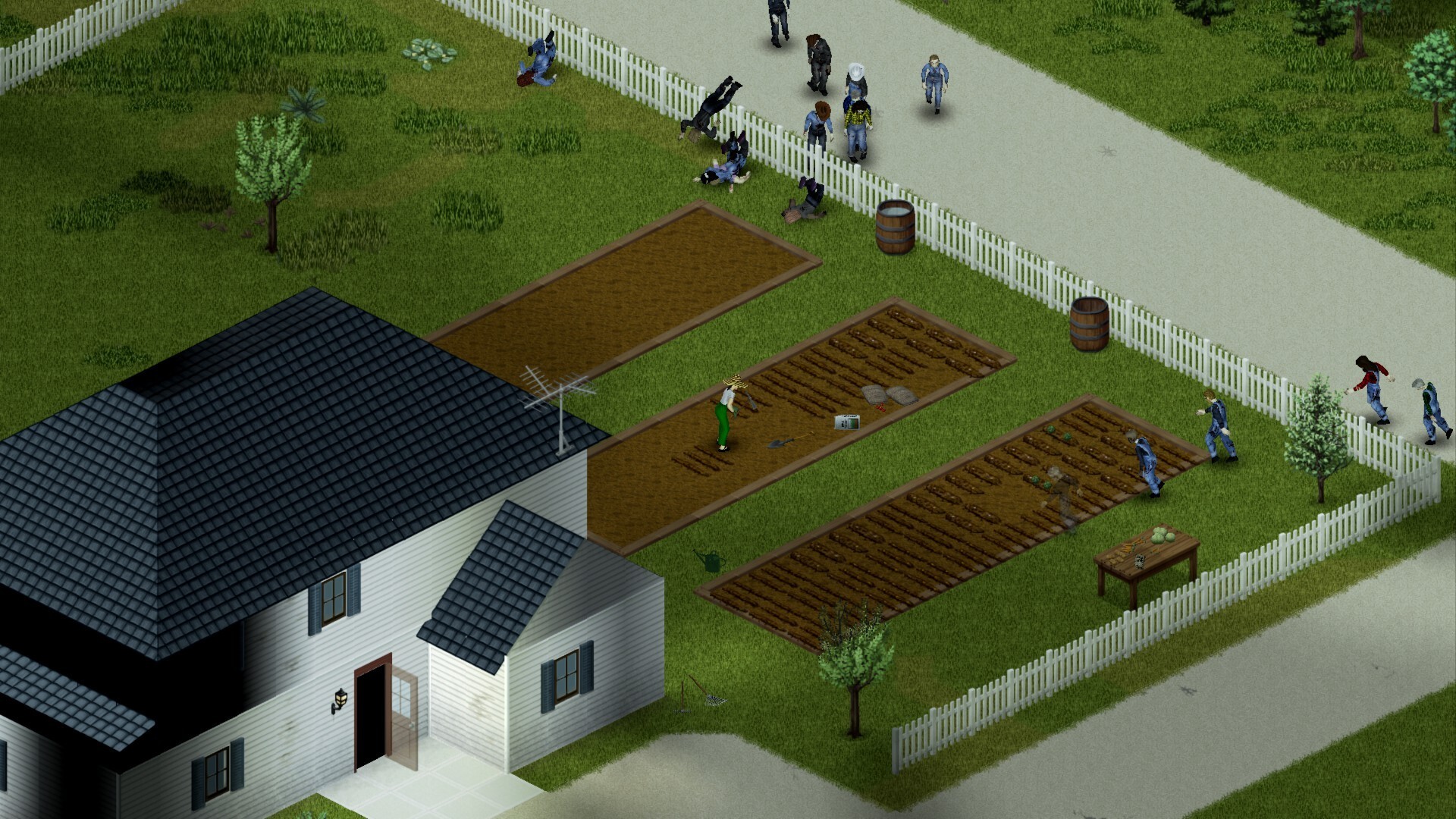 Project Zomboid, Software