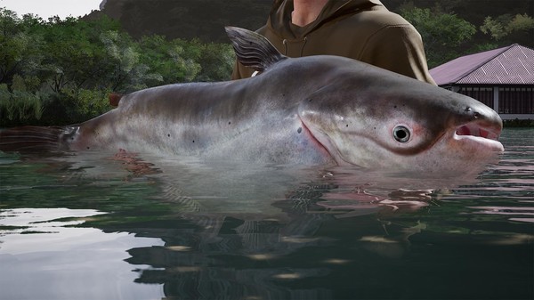 скриншот Fishing Sim World: Pro Tour - Giant Carp Pack 4