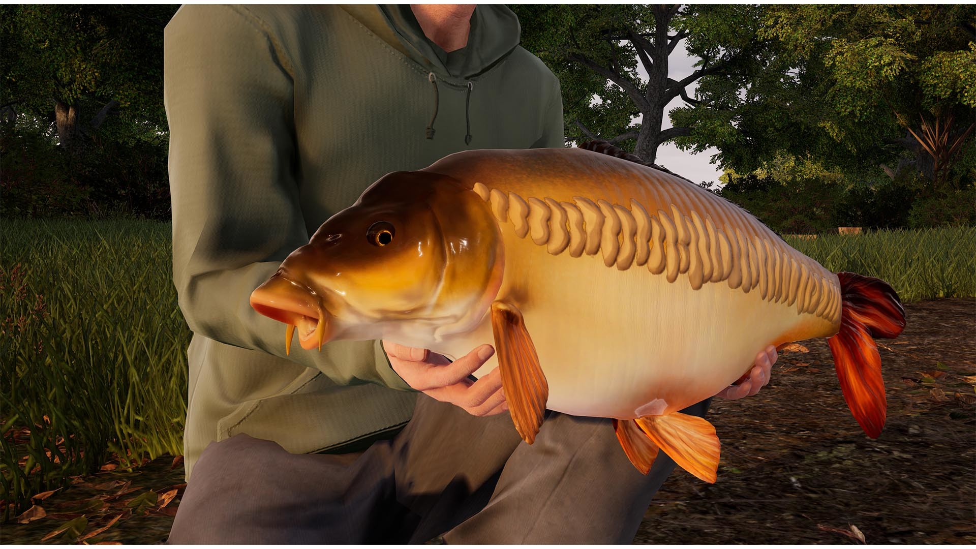 Fishing sim world pro tour carp Clearance