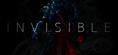 Invisible Cover Image