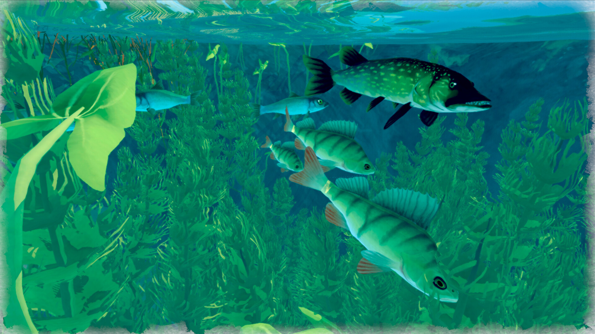 Among Ripples: Shallow Waters Featured Screenshot #1