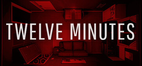 Twelve Minutes Cover Image