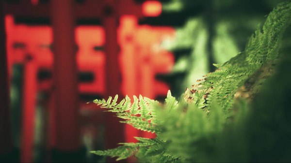 скриншот Explore Fushimi Inari 0