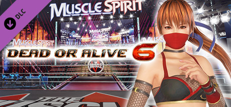 DOA6 Kasumi Deluxe Costume banner image