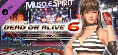 DOA6 Hitomi Deluxe Costume