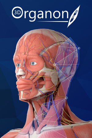 3D Organon