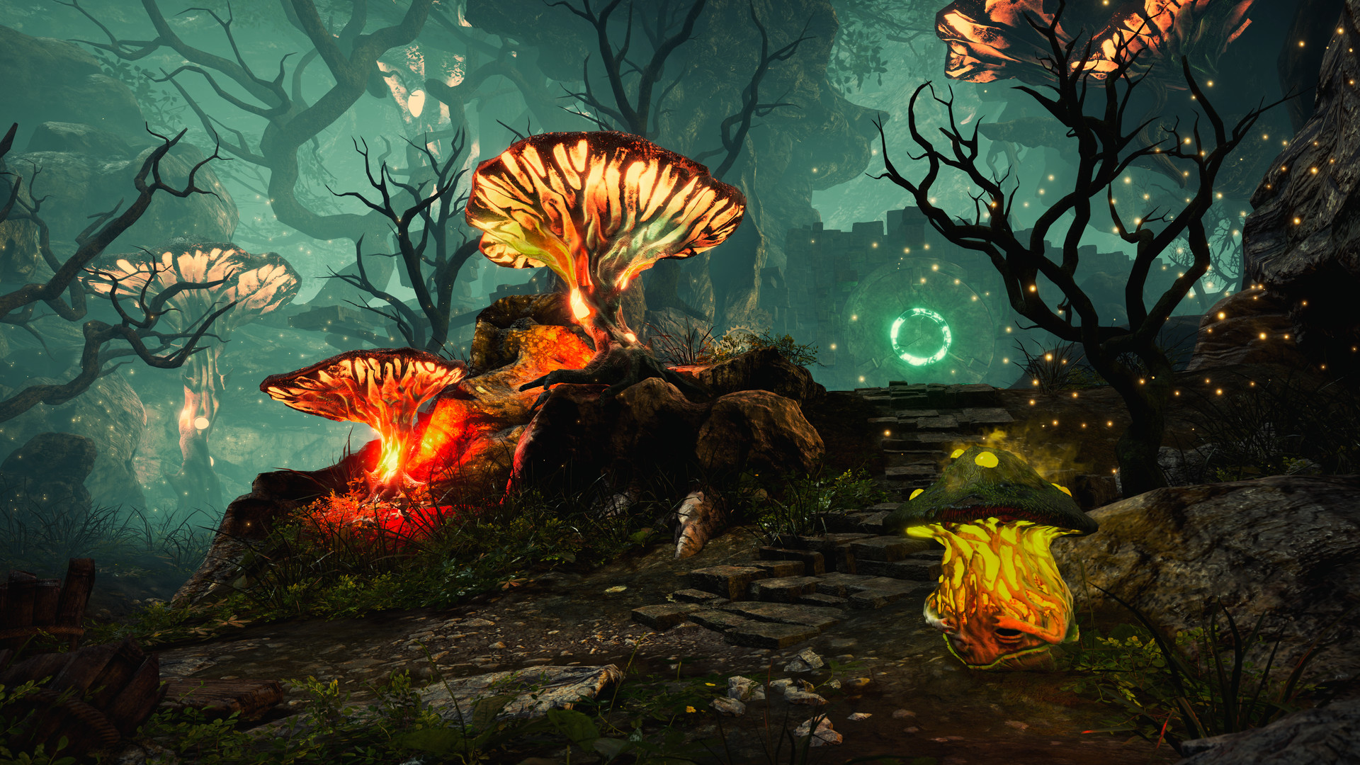 The Wizards - Dark Times: Brotherhood #14