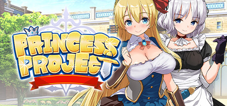 Princess Project Cover Image