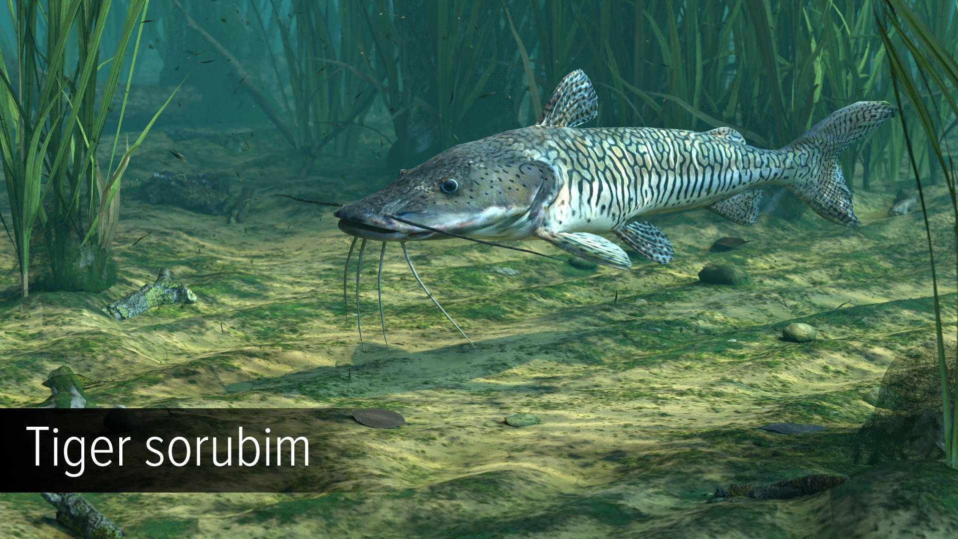 Ultimate Fishing Simulator - Amazon River DLC screenshot screenshot 10