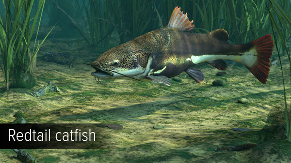 скриншот Ultimate Fishing Simulator - Amazon River DLC 2