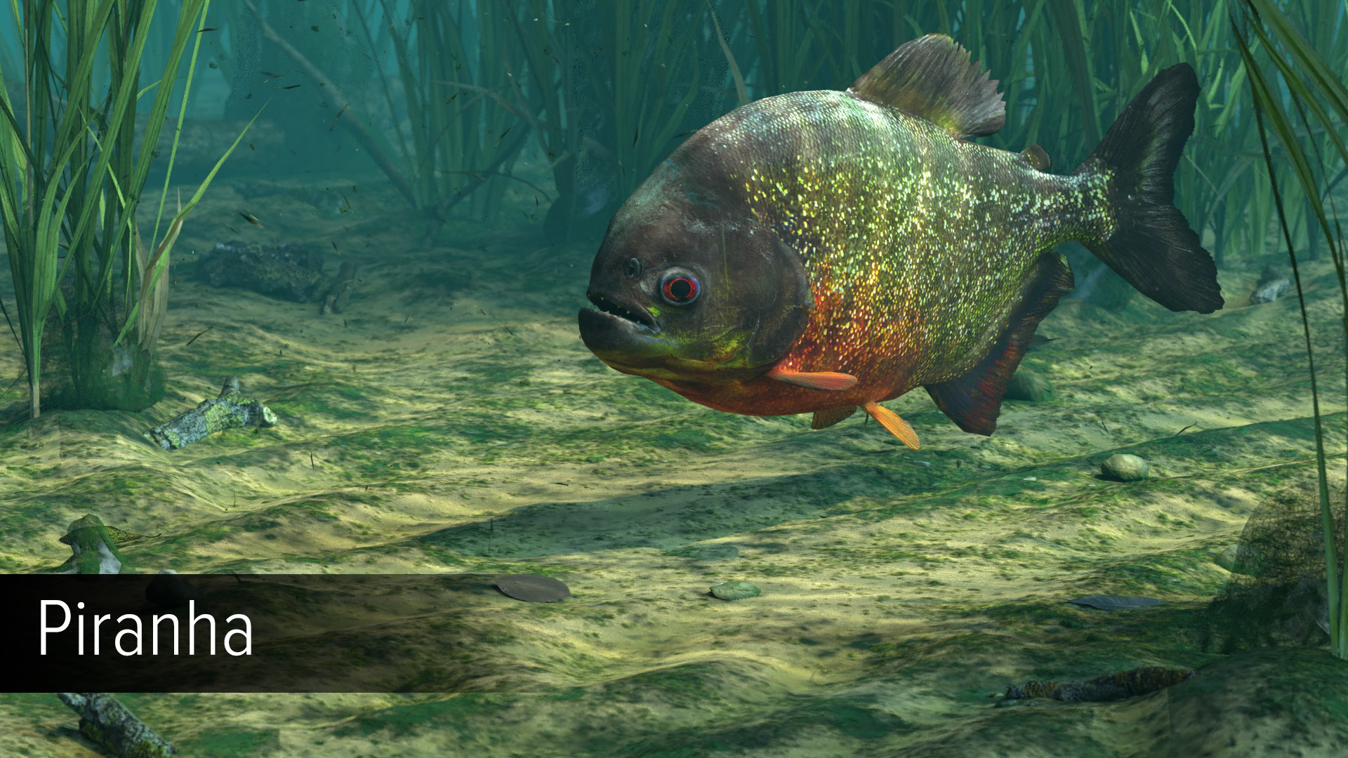 Ultimate Fishing Simulator - Amazon River DLC screenshot screenshot 11