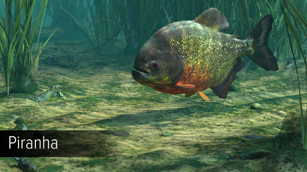 Ultimate Fishing Simulator - Amazon River DLC