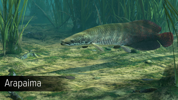 скриншот Ultimate Fishing Simulator - Amazon River DLC 3