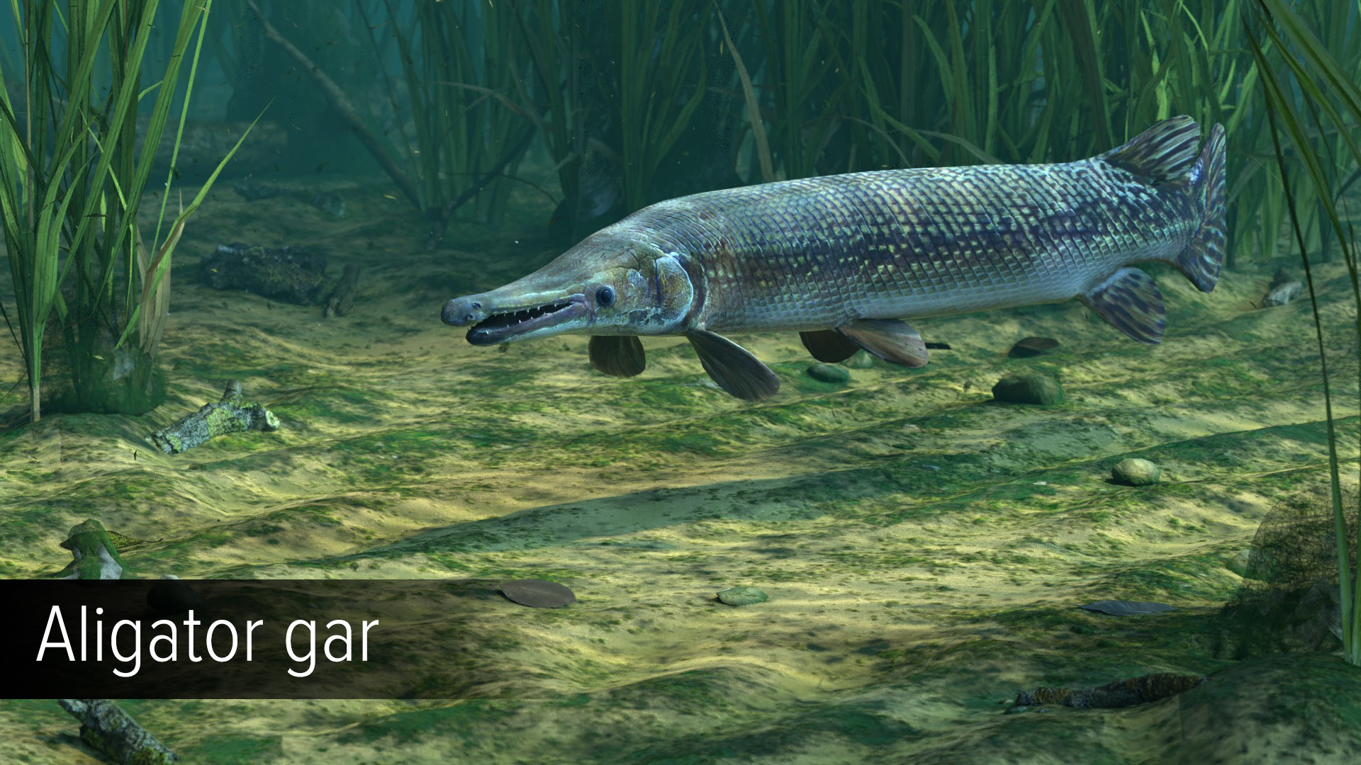 Ultimate Fishing Simulator - Amazon River DLC screenshot screenshot 7