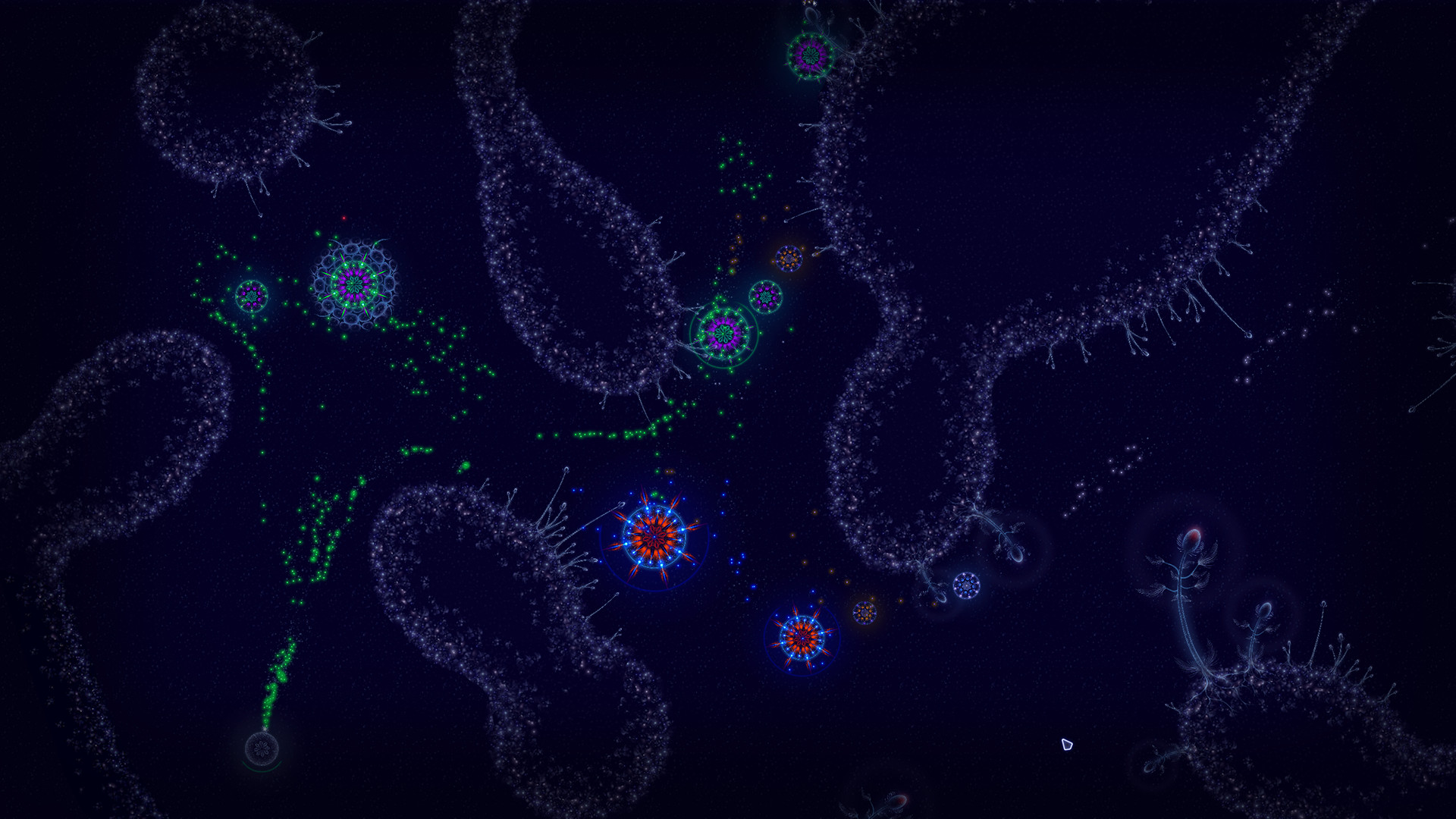Microcosmum: survival of cells Demo #8