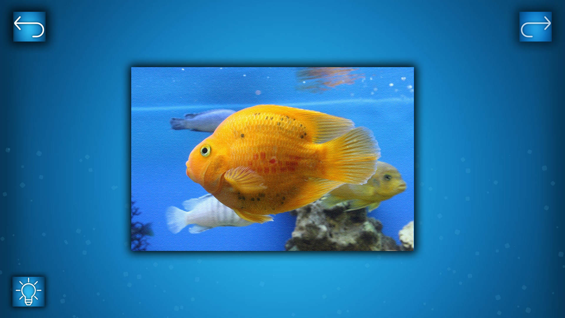 PUZZLE: OCEAN - Puzzle Pack: FISH PACK Featured Screenshot #1
