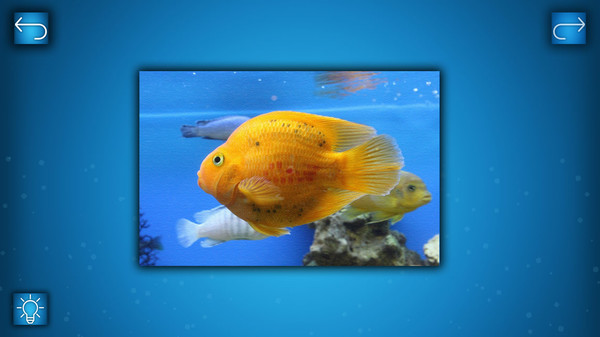 скриншот PUZZLE: OCEAN - Puzzle Pack: FISH PACK 0