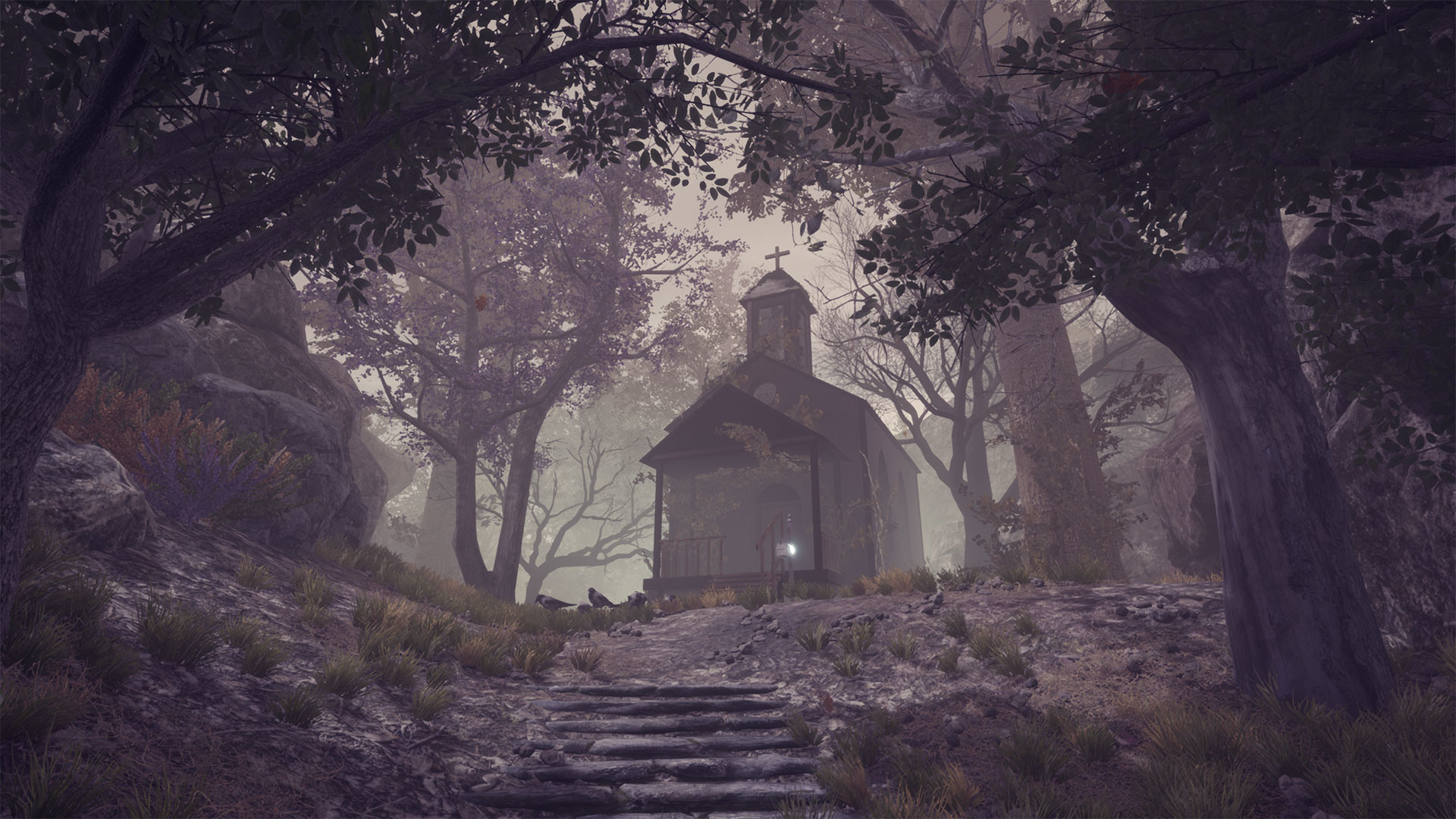 Little Brother Jim #12