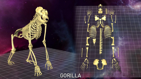 скриншот World of Guns VR: 5 Skeletons Pack 2