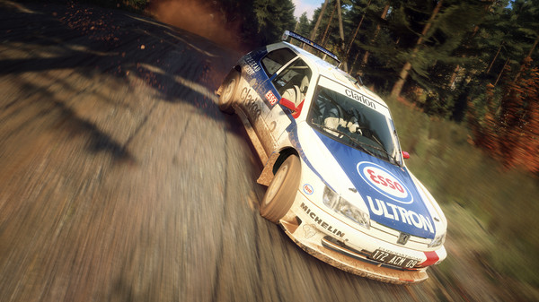 скриншот DiRT Rally 2.0 - Peugeot 306 Maxi 3