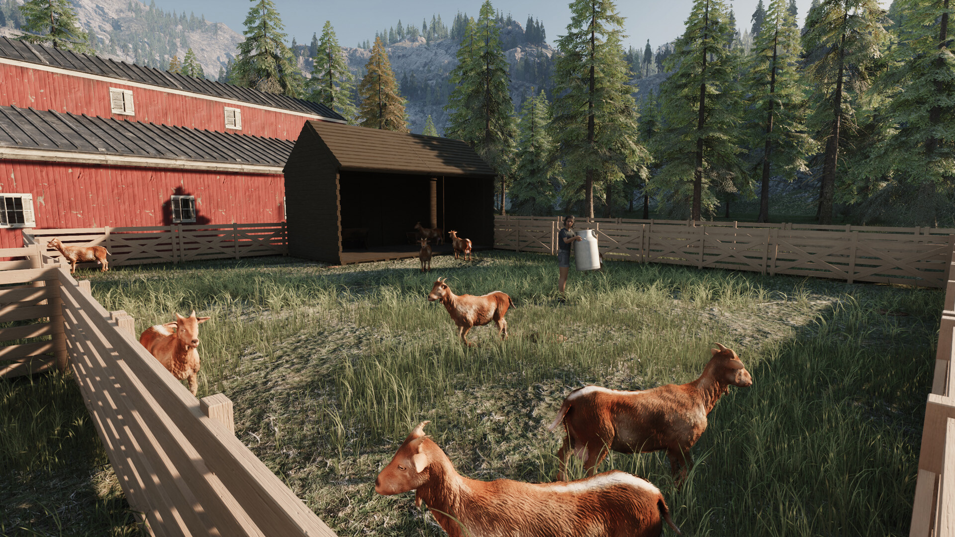 Storage Build, Ranch Simulator Gameplay