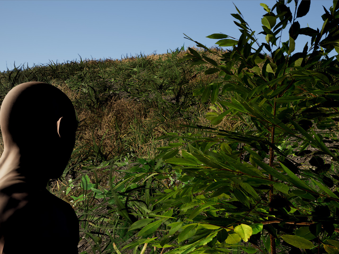 Survival Ascension #3